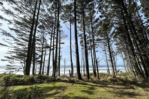 Wonderful nature and views to enjoy.