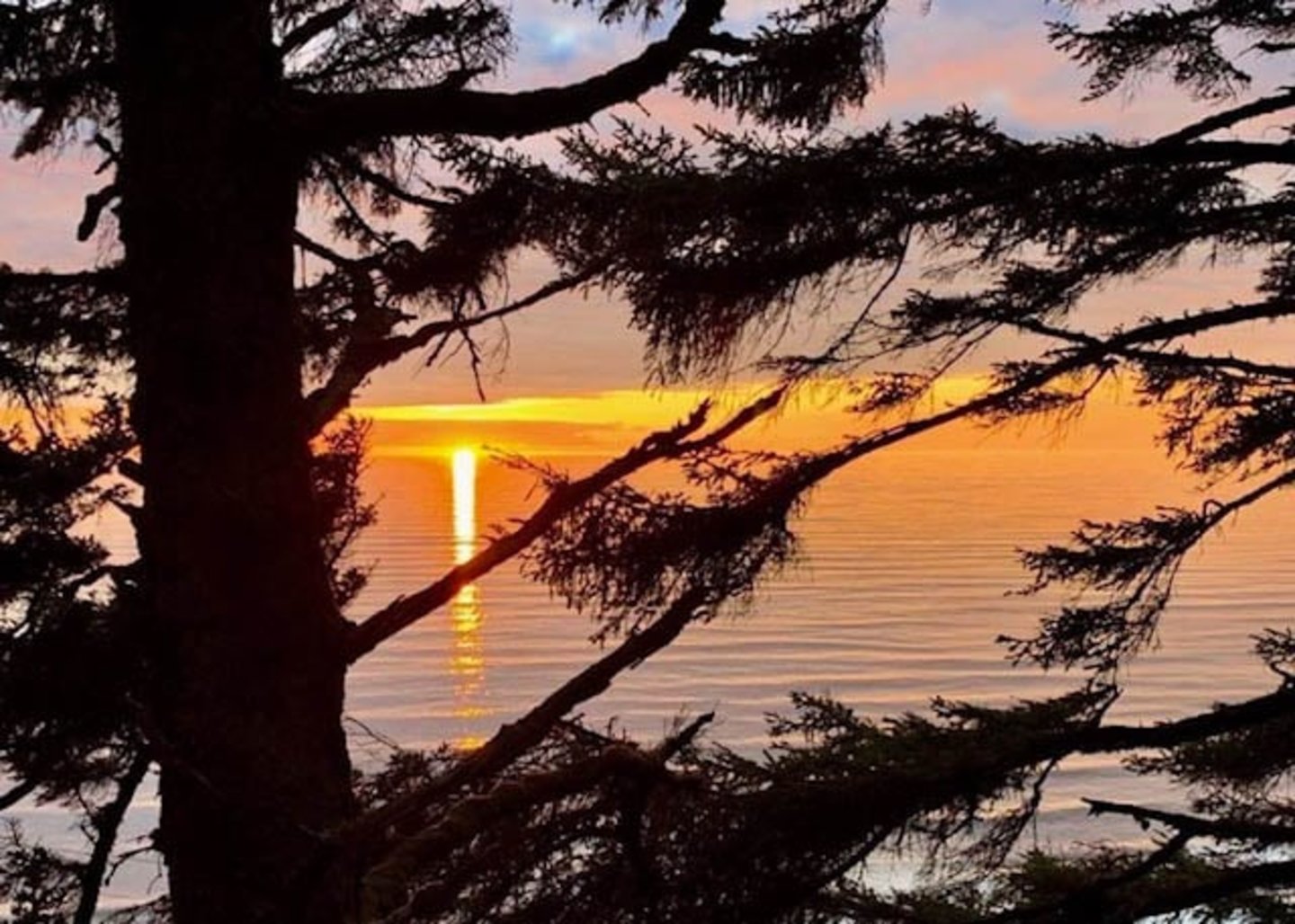 Watch the sun dip into the Pacific.