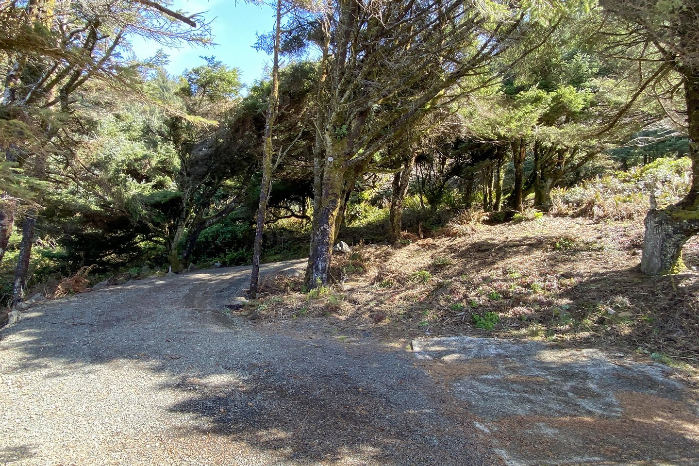 Surrounded by forest and the sea.