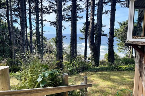Wonderland of ocean and forest.