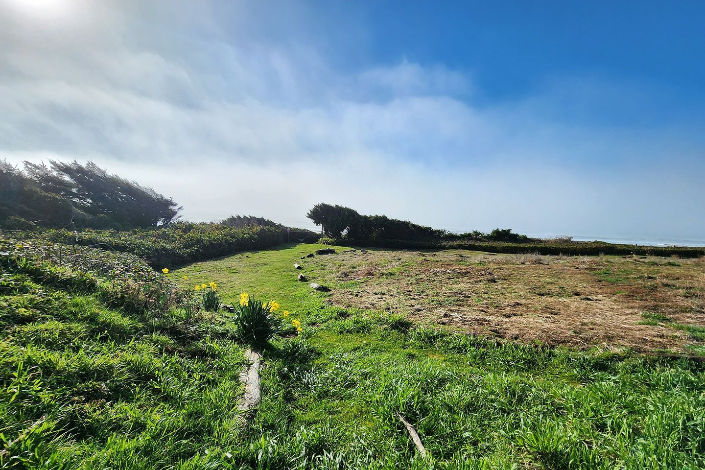 Walk the path to a wonderful beach views.
(onsite beach access temporally closed for repairs)