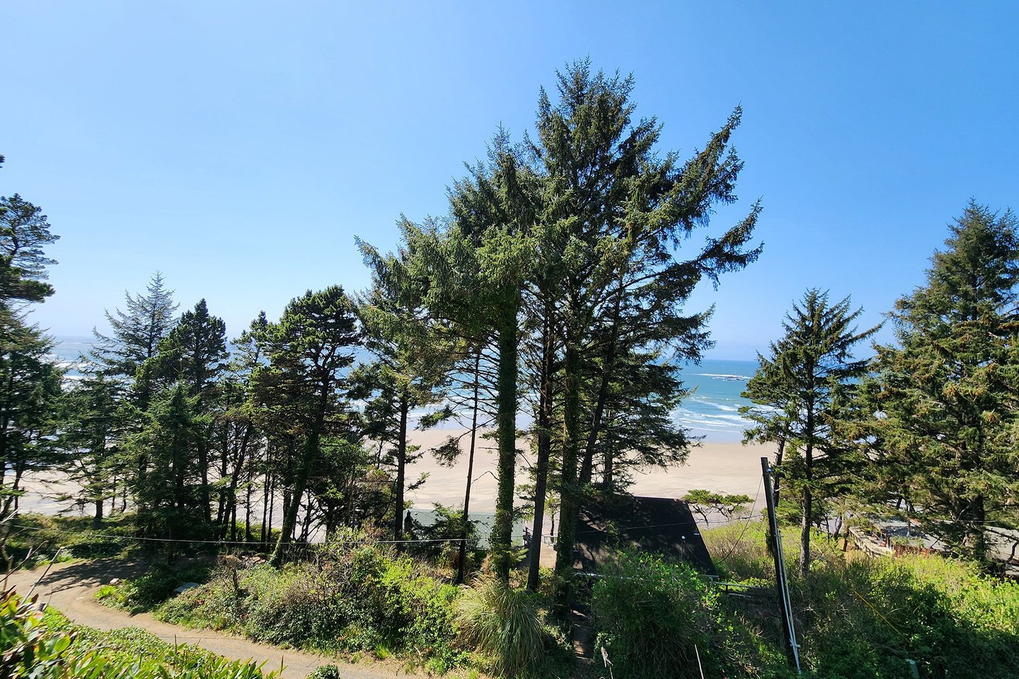 Best of the Oregon coast ~ trees and ocean views!