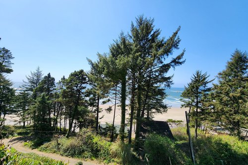 Best of the Oregon coast ~ trees and ocean views!