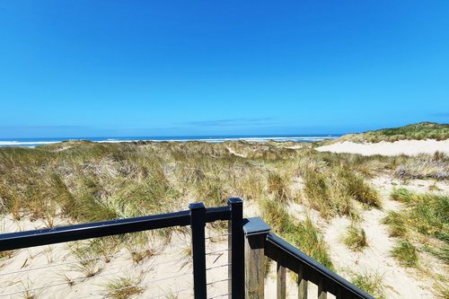 Walk out to the waves and search for shells.