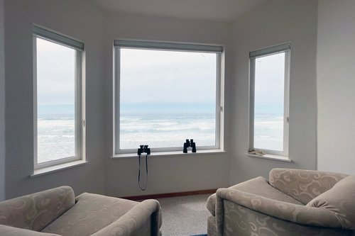 Sit and watch for whales or other sea life.