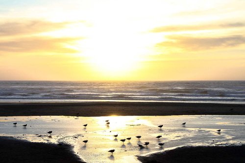 Sunset at Nye Beach.